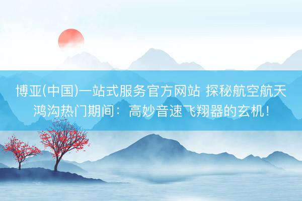 博亚(中国)一站式服务官方网站 探秘航空航天鸿沟热门期间：高妙音速飞翔器的玄机！