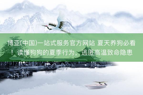 博亚(中国)一站式服务官方网站 夏天养狗必看！读懂狗狗的夏季行为，逃匿高温致命隐患