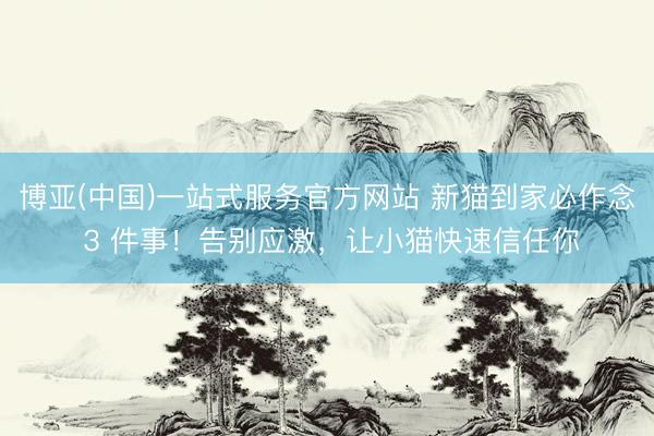 博亚(中国)一站式服务官方网站 新猫到家必作念 3 件事！告别应激，让小猫快速信任你