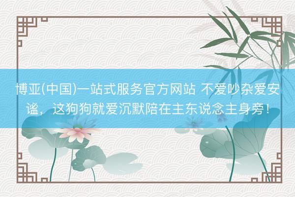 博亚(中国)一站式服务官方网站 不爱吵杂爱安谧，这狗狗就爱沉默陪在主东说念主身旁！