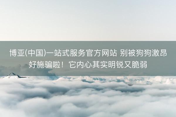 博亚(中国)一站式服务官方网站 别被狗狗激昂好施骗啦！它内心其实明锐又脆弱