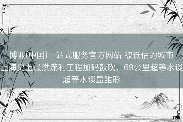 博亚(中国)一站式服务官方网站 被低估的城市之最：上海史上最洪流利工程加码鼓吹，69公里超等水谈显雏形