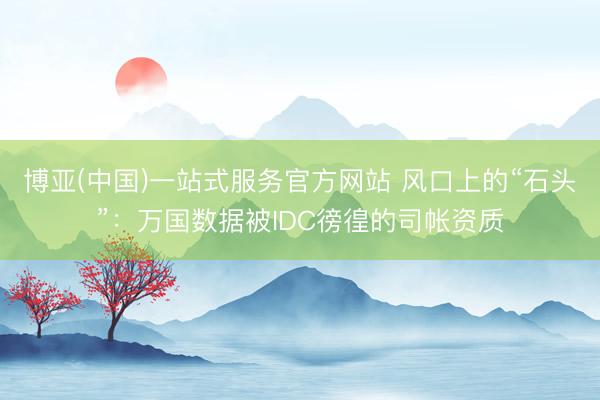 博亚(中国)一站式服务官方网站 风口上的“石头”：万国数据被IDC徬徨的司帐资质