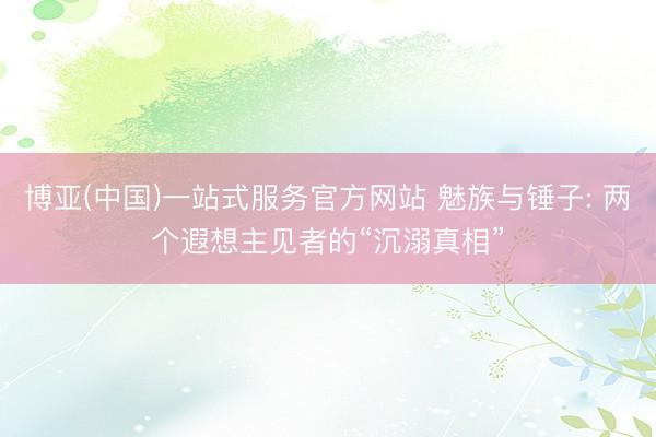 博亚(中国)一站式服务官方网站 魅族与锤子: 两个遐想主见者的“沉溺真相”
