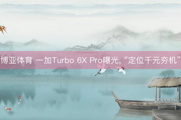 博亚体育 一加Turbo 6X Pro曝光， “定位千元夯机”