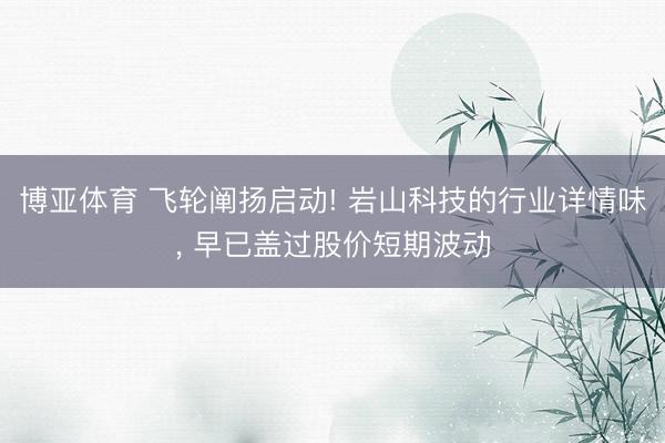 博亚体育 飞轮阐扬启动! 岩山科技的行业详情味， 早已盖过股价短期波动