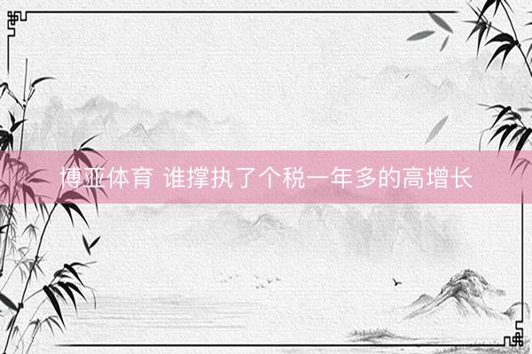 博亚体育 谁撑执了个税一年多的高增长