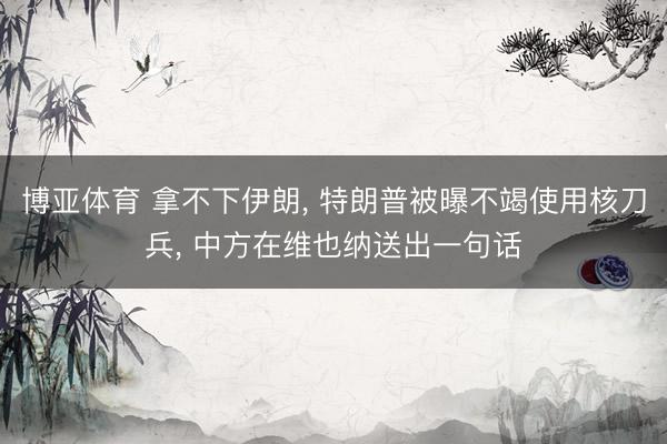 博亚体育 拿不下伊朗, 特朗普被曝不竭使用核刀兵, 中方在维也纳送出一句话