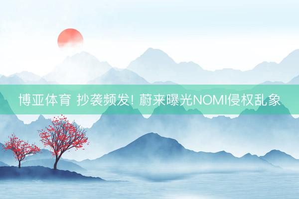 博亚体育 抄袭频发! 蔚来曝光NOMI侵权乱象