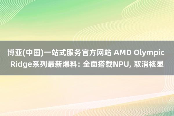博亚(中国)一站式服务官方网站 AMD Olympic Ridge系列最新爆料: 全面搭载NPU， 取消核显