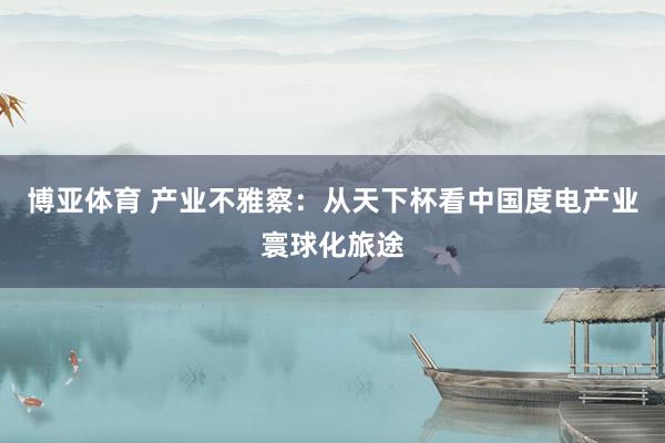 博亚体育 产业不雅察:从天下杯看中国度电产业寰球化旅途